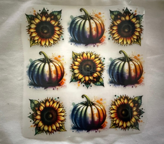 Sunflowers & Pumpkins